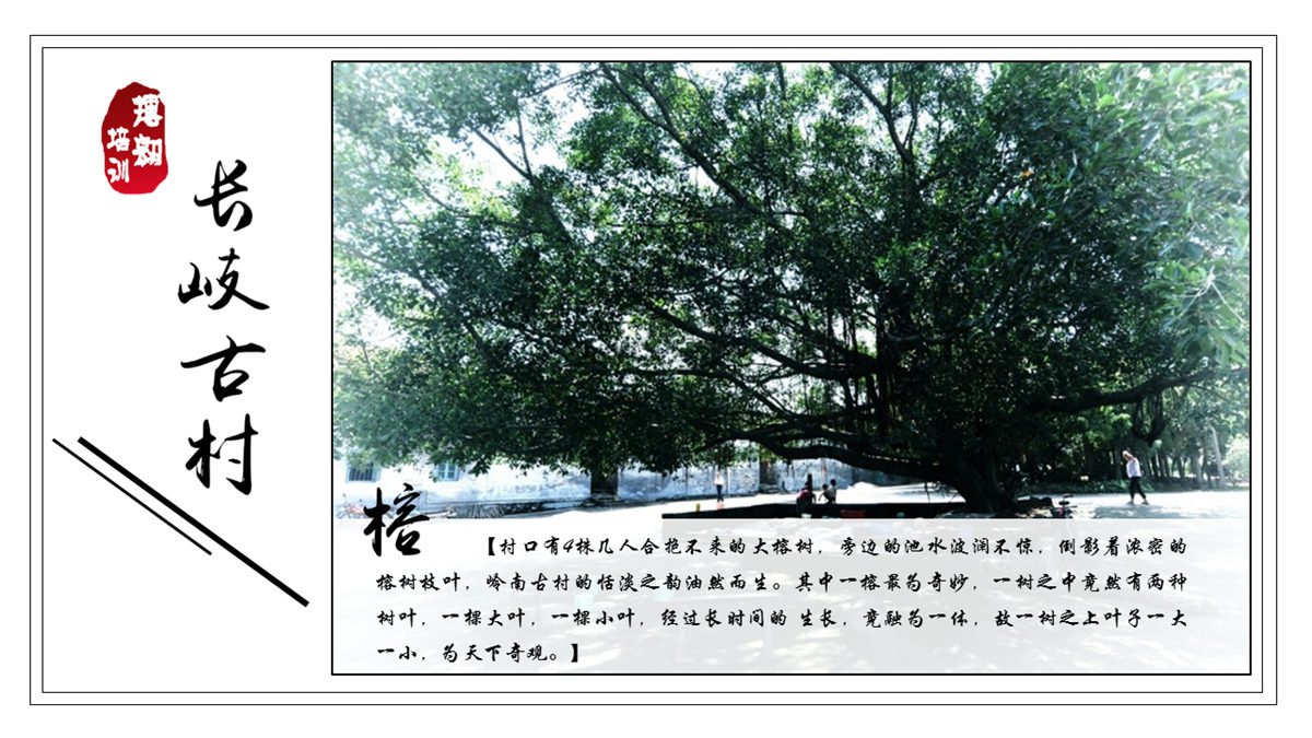 佛山三水長(zhǎng)岐古村